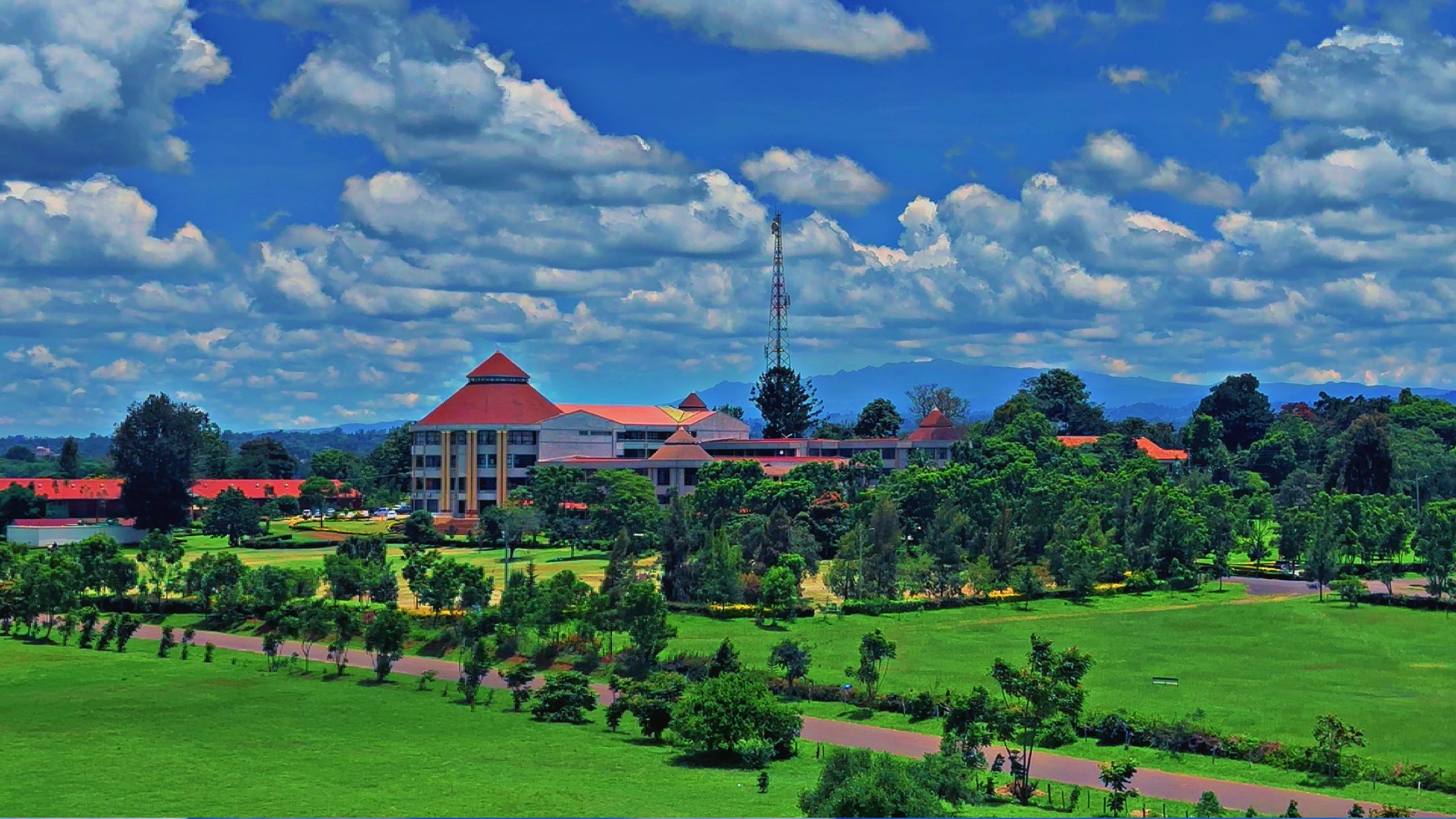 Dedan Kimathi University of Technology